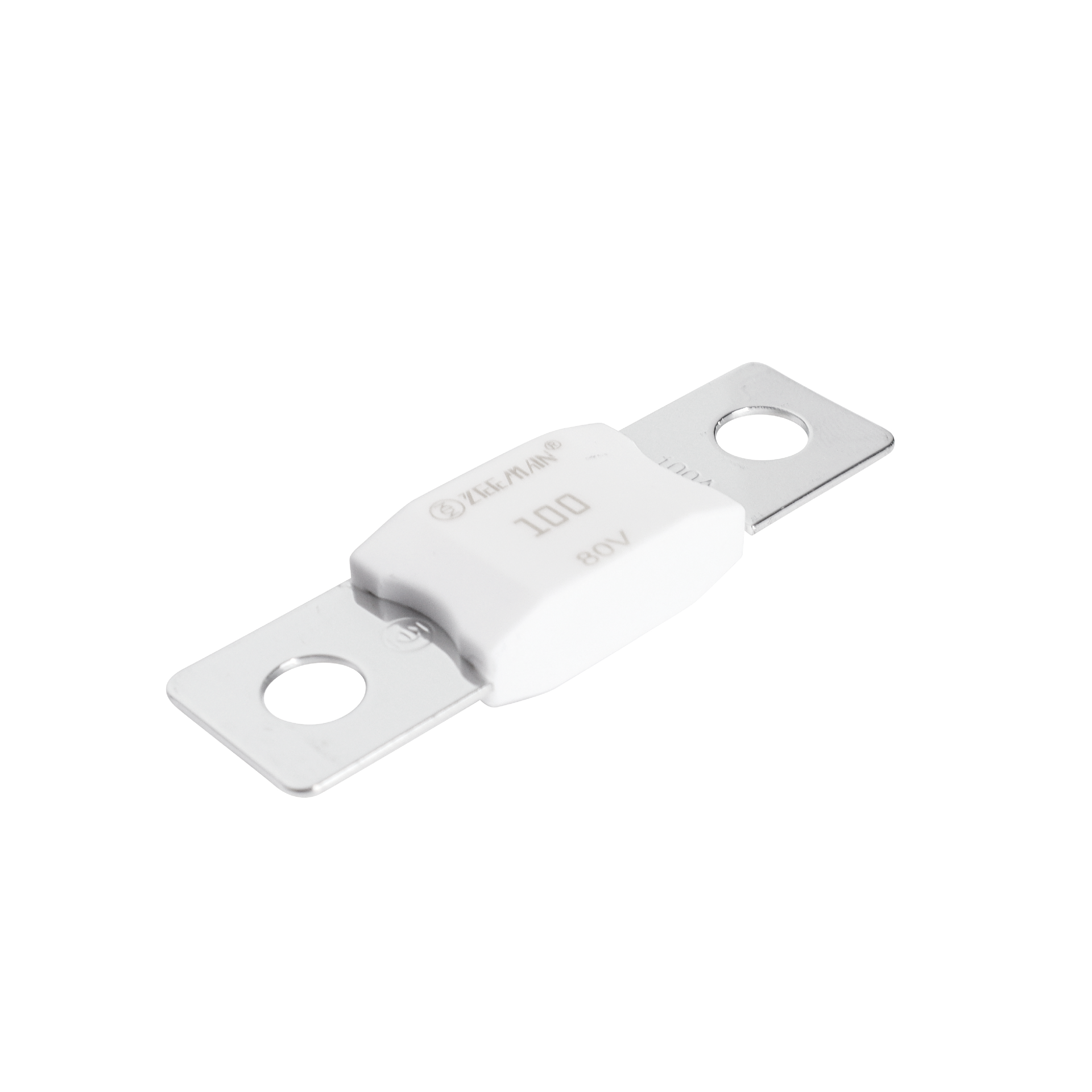 Alvolta AMG/Mega 100A Fuse