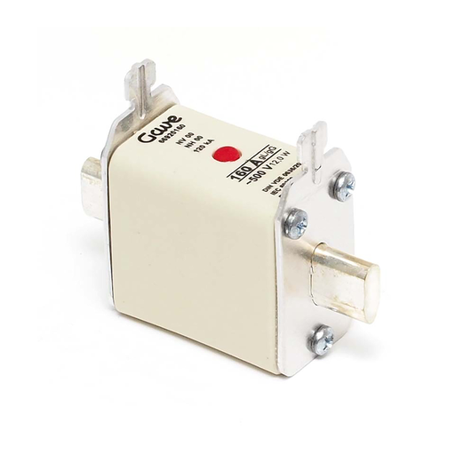 [INVFH00160ASWE] Fh00 160A Fuse