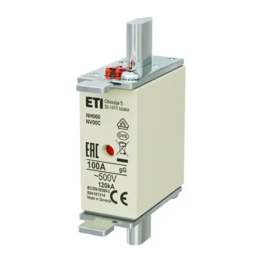 [INVFH00100ASWE] ETI NH000 100A Fuse